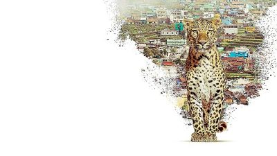 Milyonlarca yıllık doğal süreçlerle şekillenen Nilgiri Dağları’nda muazzam bir keşfe