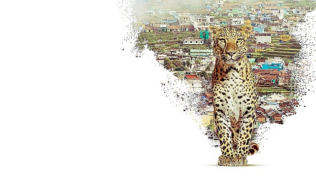 Milyonlarca yıllık doğal süreçlerle şekillenen Nilgiri Dağları’nda muazzam bir keşfe