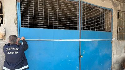 Osmangazi Belediyesi Zabıta Müdürlüğü ekipleri tarafından yürütülen titiz inceleme ve