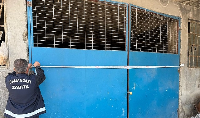 Osmangazi Belediyesi Zabıta Müdürlüğü ekipleri tarafından yürütülen titiz inceleme ve