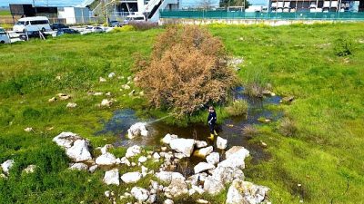Torbalı Belediyesi, halk sağlığını korumak ve yaşam kalitesini artırmak amacıyla