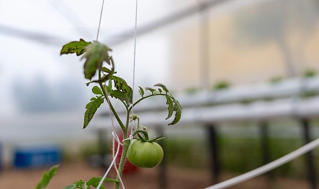 Mersin Yenişehir Belediyesi ve Yahya Akel Fen Lisesi iş birliğiyle