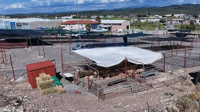 Ayvalık Belediyesi, yaklaşan Kurban Bayramı öncesinde vatandaşların daha sağlıklı, güvenli