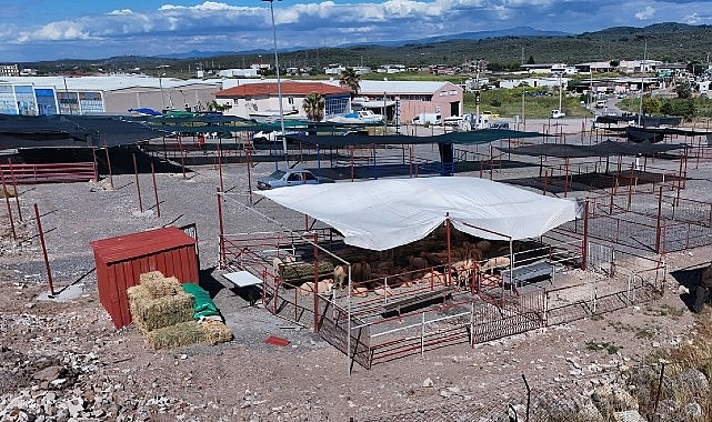Ayvalık’ta Kurban Pazarı Hizmete Açıldı Ayvalık Belediyesi, yaklaşan Kurban Bayramı öncesinde vatandaşların daha sağlıklı, güvenli