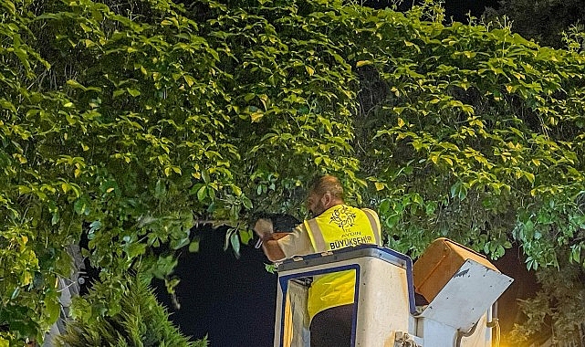 Çerçioğlu’nun öncülüğünde Aydın’ın dört bir yanında gerçekleştirilen çalışmalar hız kesmeden