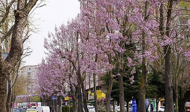 Beylikdüzü’nün yeşil dokusunun korunması ve geliştirilmesini öncelikli olarak ele alan