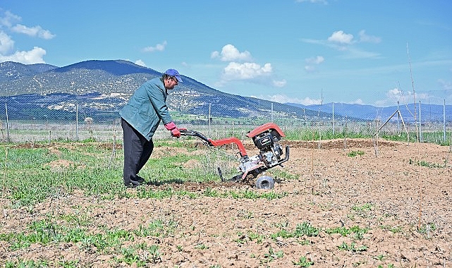 Antalya Büyükşehir Belediyesi hem geleneksel ipek böceği yetiştiriciliğini yaşatmak hem