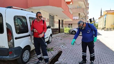 Antalya Büyükşehir Belediyesi, halk sağlığını korumak amacıyla kent genelinde vektörle