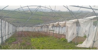 Kocaeli Büyükşehir Belediyesi, kış aylarında etkili olan şiddetli rüzgâr ve