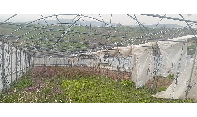 Büyükşehir’den seraları zarar gören üreticilere destek Kocaeli Büyükşehir Belediyesi, kış aylarında etkili olan şiddetli rüzgâr ve