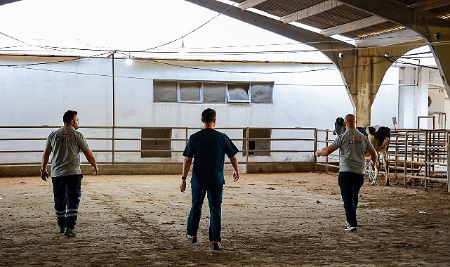 Antalya Büyükşehir Belediyesi, her yıl olduğu gibi bu Kurban Bayramı’nda