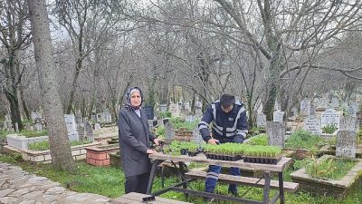 Antalya Büyükşehir Belediyesi, Antalya merkez ve 19 ilçelerde mezarlıkları Kurban