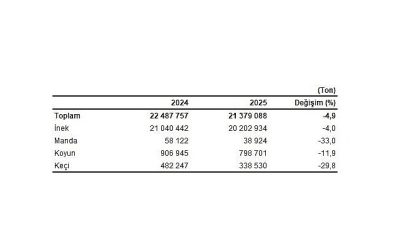 Çiğ süt üretimi 2025 yılında %4,9 azalarak 21 milyon 379