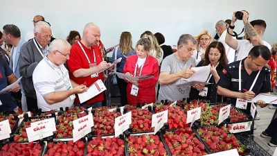 Menemen'de düzenlenen 16. Uluslararası Emiralem Çilek Festivali, 3 günlük unutulmaz