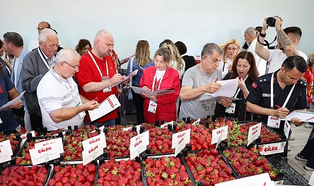 Menemen'de düzenlenen 16. Uluslararası Emiralem Çilek Festivali, 3 günlük unutulmaz