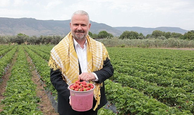 En lezzetli Festival için geri sayım başladı Menemen'in lezzeti ve kokusuyla meşhur Emiralem çileği için festival zamanı
