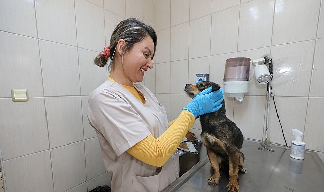 Öz kaynaklarıyla yaptığı yeni hayvan bakımeviyle veteriner sağlık hizmetlerinin altyapısını