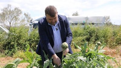 Tarlaya inen Başkan Yetişkin, üreticilerle birlikte enginar topladı, onların talep
