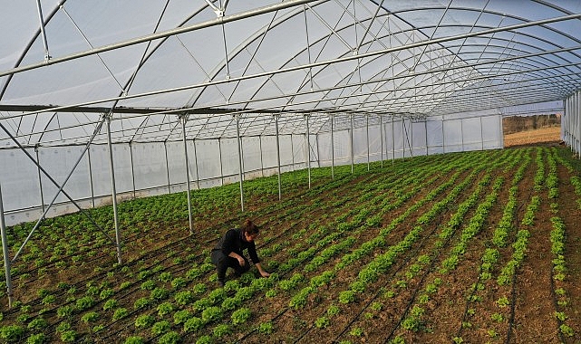 Kocaeli Büyükşehir Belediyesi, kaliteli mahsul ve yüksek verim elde edilmesi