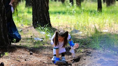 Tarım ve Orman Bakanlığı Orman Genel Müdürlüğü tarafından orman yangınlarının