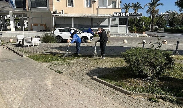 Didim Belediyesi Park ve Bahçeler Müdürlüğü ekipleri, ilçe genelinde yeşil