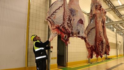 Kocaeli Büyükşehir Belediyesi, Kurban Bayramı öncesinde olumsuz görüntülerin oluşmaması adına