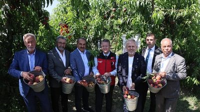 Türkiye şeftali ve nektarinde bereketli bir sezona hazırlanıyor. Şeftali ve