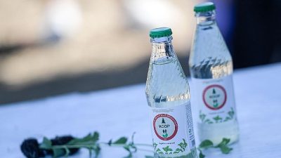 İzmir Büyükşehir Belediyesi’nin desteğiyle Türkiye’nin ilk şekersiz stevia (şeker otu)