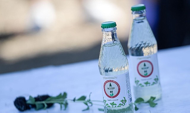 İzmir Büyükşehir Belediyesi’nin desteğiyle Türkiye’nin ilk şekersiz stevia (şeker otu)