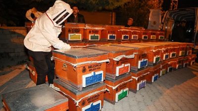 Selçuklu Belediyesi, kırsal mahallelerde arıcılık faaliyetlerinin geliştirilmesi ve sürdürülebilirliğinin artırılması