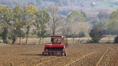 Kocaeli Büyükşehir Belediyesi’nin yüzde 75 hibeli “Yem Bitkisi Tohumu Destekleme