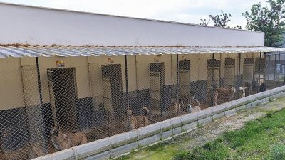 Yenişehir Belediyesi, 15 bin metrekarelik dev alanda kurduğu Geçici Hayvan