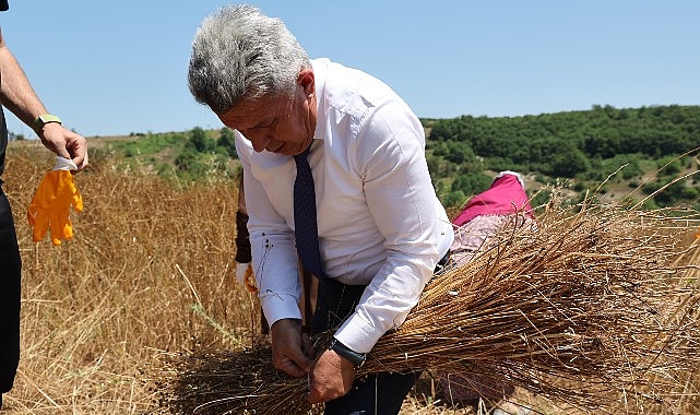 Kandıra Belediyesi tarafından yürütülen KETENKÖY Projesi kapsamında, yaklaşık 40 yıl