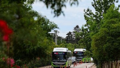 Kocaeli Büyükşehir Belediyesi’nin Kandıra sahillerine ulaşımı sağlayan 800CK hattı, 20