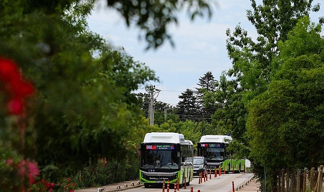Kocaeli Büyükşehir Belediyesi’nin Kandıra sahillerine ulaşımı sağlayan 800CK hattı, 20