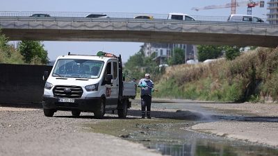 Bakırköy Belediyesi, yaz aylarının gelmesi ile birlikteİstanbul Büyükşehir Belediyesi ile