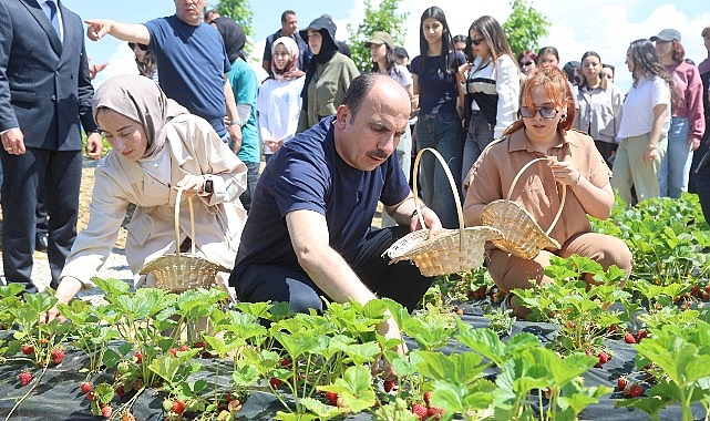 Konya Büyükşehir Belediye Başkanı Uğur İbrahim Altay, 31 ilçede her