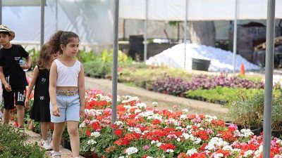 Çerçioğlu’nun öncülüğünde Aydın’ın tüm ilçelerinde her yaştan öğrenci için gerçekleştirilen