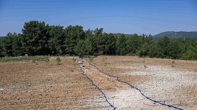 Bornova Belediyesi, 7 Kent Bostanı’nın ardından Yakaköy Doğal Tarım Çiftliği’ndeki