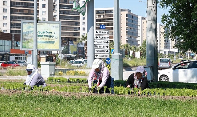 Bu Yaz Osmangazi’de Çiçek Kokuları Eksik Olmayacak Osmangazi Belediyesi, ilçe genelinde sürdürdüğü peyzaj ve çevre düzenleme çalışmalarıyla