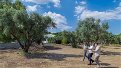 İzmir Büyükşehir Belediyesi, yıllardır atıl durumda bulunan Aliberti Köşkü ve
