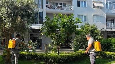 Antalya Büyükşehir Belediyesi Park ve Bahçeler ekipleri, Kemer Liman Caddesi’nde