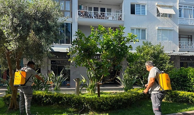Antalya Büyükşehir Belediyesi Park ve Bahçeler ekipleri, Kemer Liman Caddesi’nde