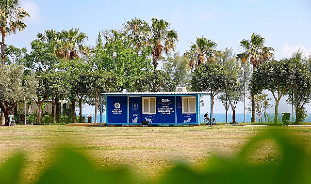 Antalya Büyükşehir Belediyesi, sahipsiz kedilerin yaşam koşullarını iyileştirmek ve kent