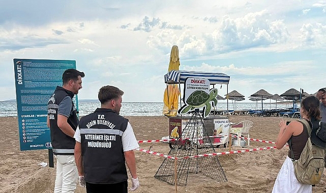 Didim’de Manastır Koyu’nda kıyıya çıkan ve yönünü şaşırarak balçıklı alana