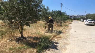 Didim Belediyesi, kent genelinde çim biçme, ot temizliği ve ağaç