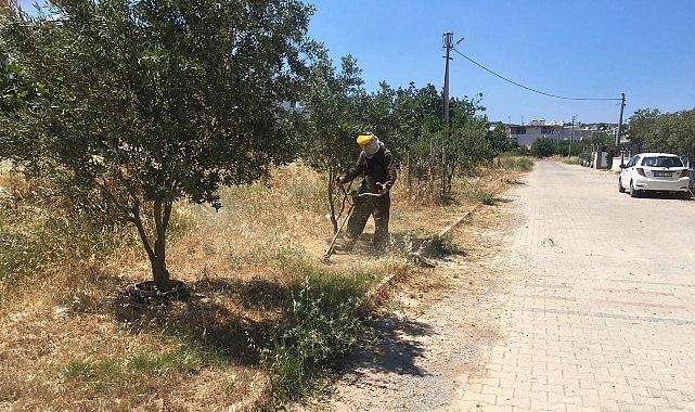 Didim Belediyesi, kent genelinde çim biçme, ot temizliği ve ağaç