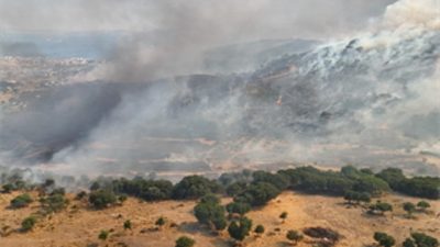 Dikili’nin Çandarlı Mahallesi’nde otluk ve zeytinlik alanda çıkan yangına ekiplerin