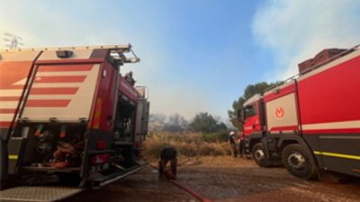İzmir Büyükşehir Belediyesi İtfaiye Dairesi Başkanlığı ekipleri, Dikili ilçesine bağlı