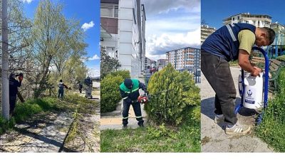 Kahramankazan Belediyesi Park ve Bahçeler Müdürlüğü ekipleri, ilçe genelinde yürüttüğü